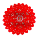 Acrylic Pooja Thali - Red (Diameter 8 inches)